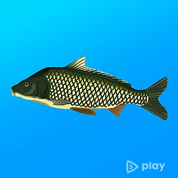 ВЗЛОМ Реальная Рыбалка v1.19.1.912 MOD